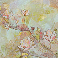Delicate Magnolias