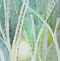 Opalescent Twilight II