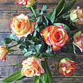 Wood and Roses