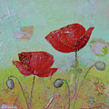 Spring Poppy I